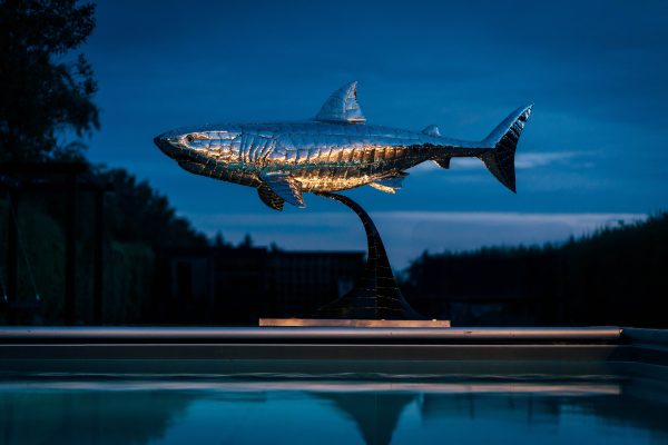 Great WHite shark sculpture that lights up with LED's inthe base of the plinth.