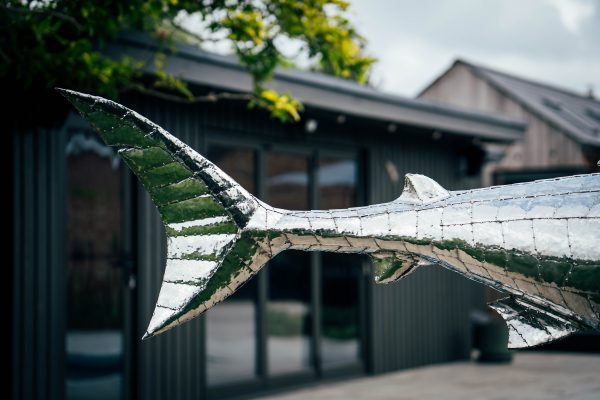 Sharks tail in stainless steel sculpture